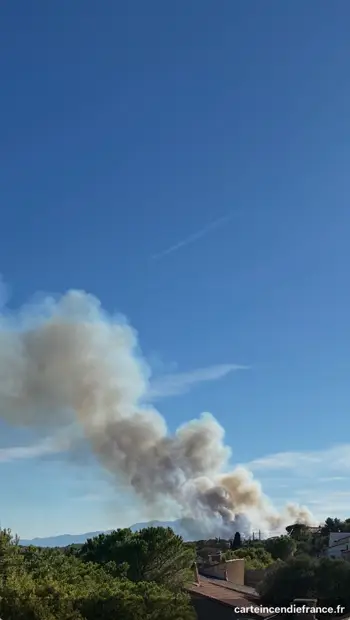 (sur un feu en cours)